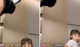 吴迪徒弟爆料事件视频,内幕揭秘与争议焦点